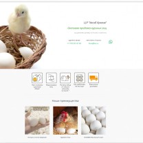 Сайт по оптовой продаже яиц xtoo.kz