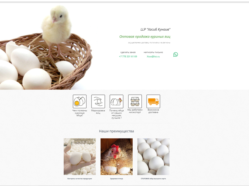 Сайт по оптовой продаже яиц xtoo.kz